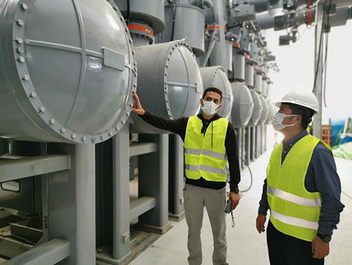 荒漠中有序推動埃及超高壓設備建設——?？藗愃闺姎獾膶嵺`與策略